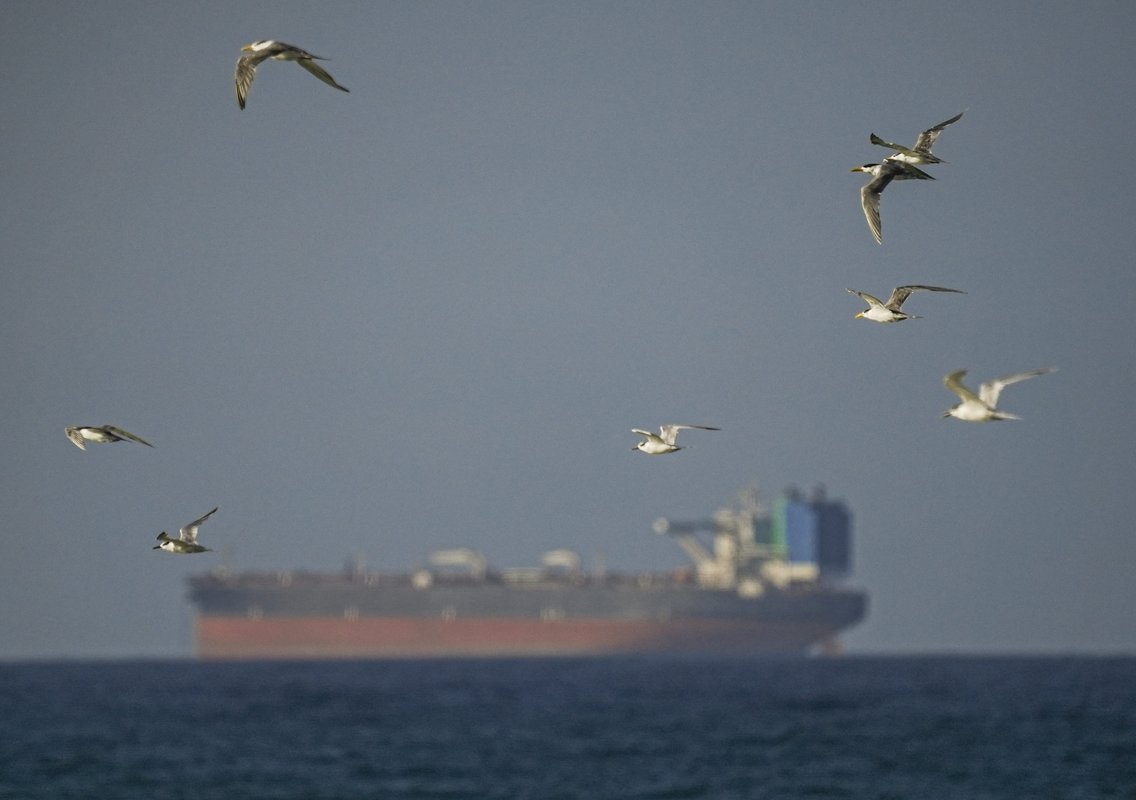 US-Iran ceasefire brings little relief as Hormuz shipping barely moves