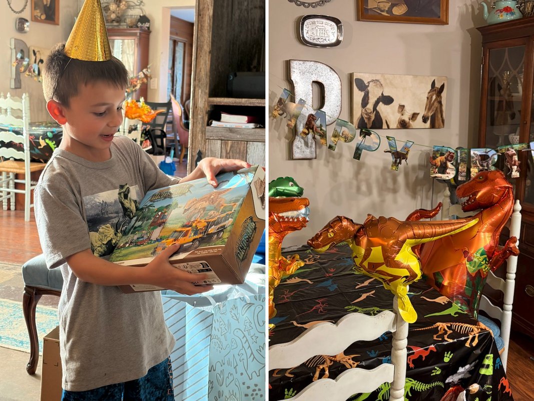 My sons get simple birthday celebrations, like having a family dinner: and going to the park. I'm never doing a big party again.