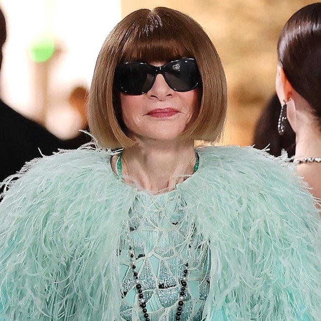 Anna Wintour Turns Heads in Show-Stopping Feathered Look at Met Gala