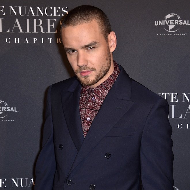 Liam Payne's Son Bear, 9, Named: Sole Beneficiary of $29 Million Estate