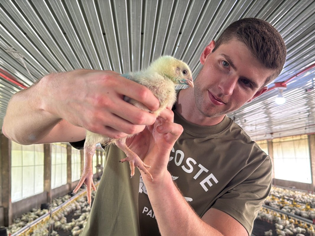 I got tired of the corporate hustle, so I quit my 6-figure banking job and opened a chicken farm in the Philippines