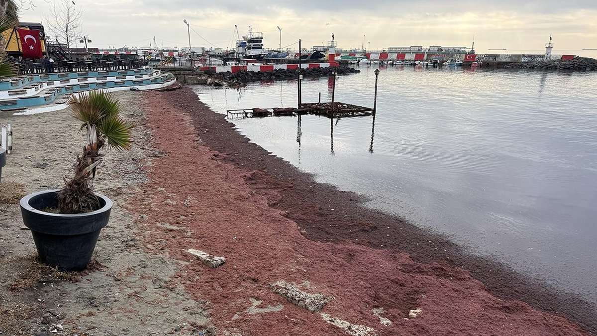 "Tekirdağ'daki plaj, kırmızı renge boyandı"