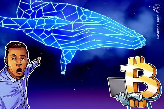 "Bitcoin balinaları, 60 bin dolarlık fiyat: düşüşünden yararlanarak 40 bin BTC satın aldı"