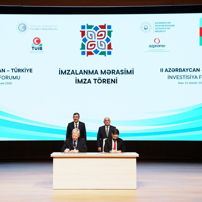 "SOCAR, Türkiye'de GAMA Enerji'nin elektrik santralini devraldı"