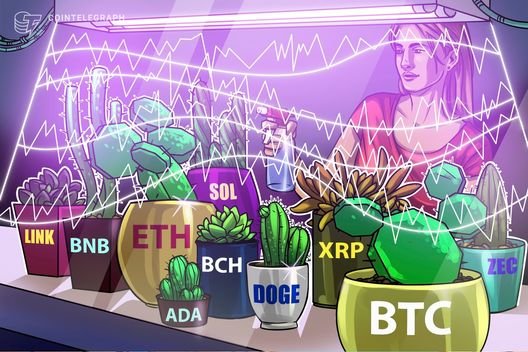 Kripto Para Fiyat Tahminleri: BTC, ETH, BNB, XRP, SOL, DOGE, ADA, BCH, LINK ve ZEC için Beklentiler