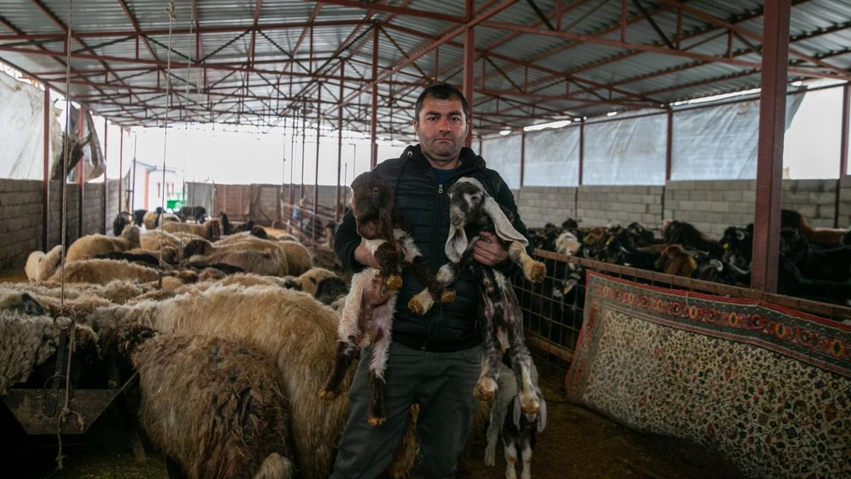 Deprem nedeniyle hayvanlarını yitiren çiftçi, devlet yardımıyla üretime sürdürüyor