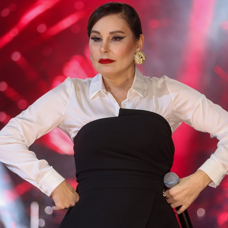 "Yeşil pasaport tek başına yeterli değil"