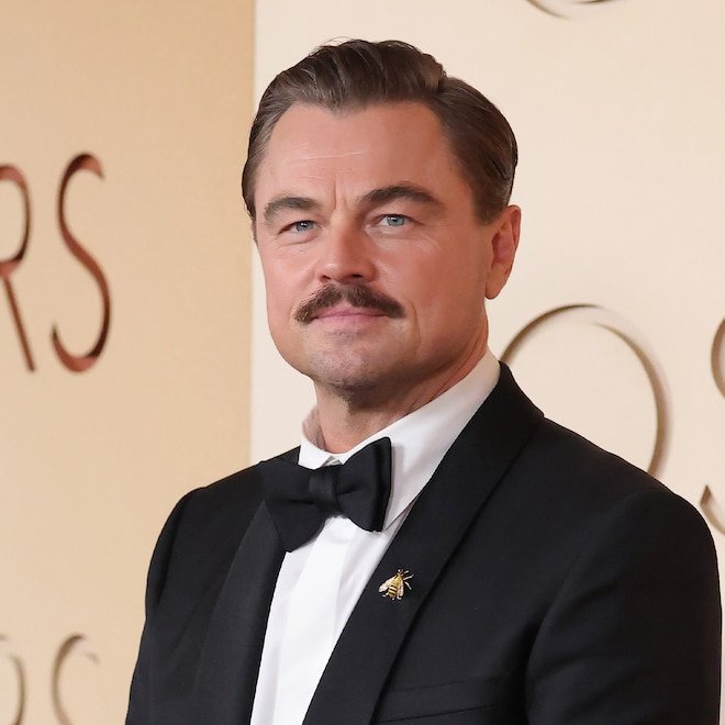Leonardo DiCaprio Has Winning Reaction: to Becoming Meme at Oscars 2026