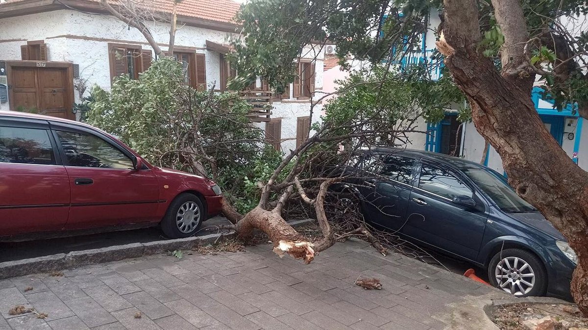 "Kaş'ta Şiddetli Fırtına: Ağaçlar Yerinden Çıkarıldı, Elektrik Direkleri Yıkıldı"