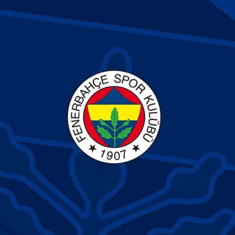 Fenerbahçe Voleybol Şubesinin Yeni Yöneticisi Ali Peçen Oldu