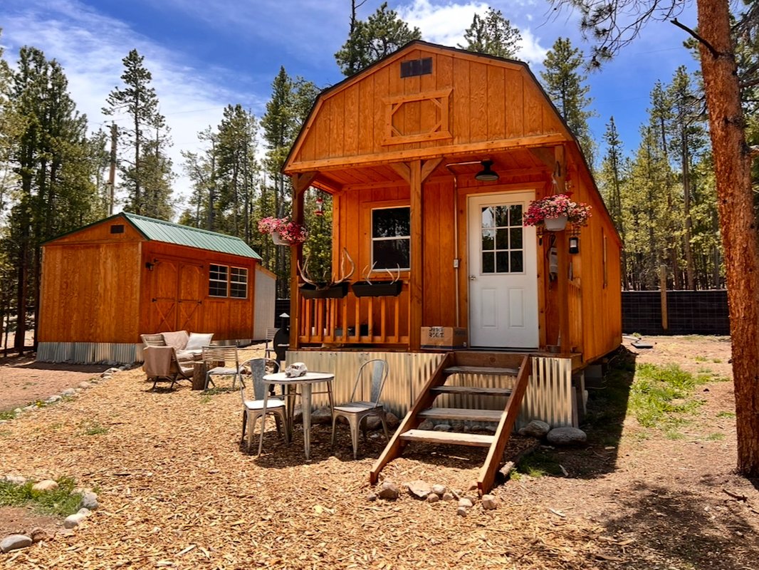 A couple bought a 380-square-foot shed for $12,000 and turned it into a tiny home they share with their 3 dogs