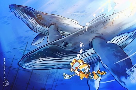 Yeni Bitcoin balinaları, BTC pazar dinamiklerini değiştiriyor: Veriler