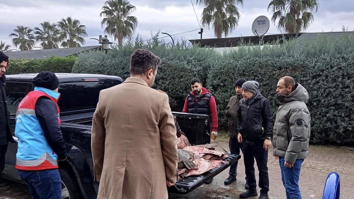 Sinop'ta yasadışı şekilde yakalanan 625 kalkan balığı halka dağıtıldı.