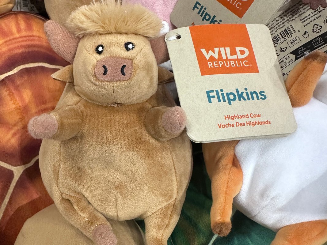 The next trendy animal for kids' toys is … the highland cow