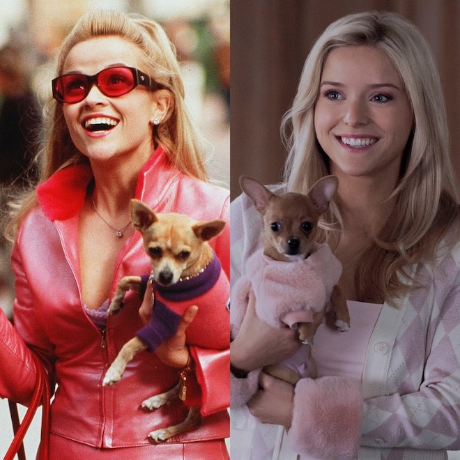 How Elle Woods' Origin Story in Elle Differs From Legally Blonde