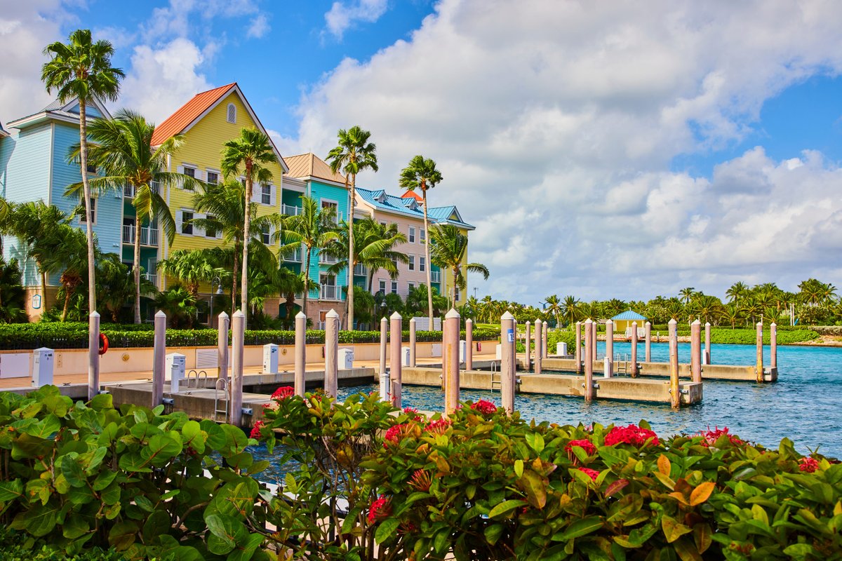 I was born and raised in The Bahamas. Here: are 11 of the biggest mistakes I watch tourists make.