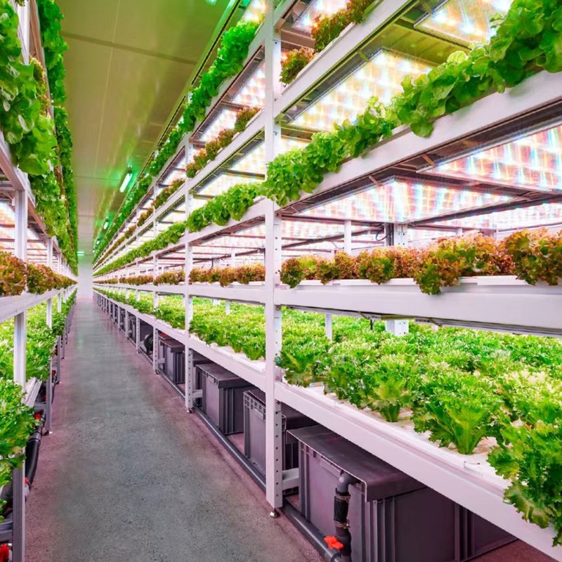 "Ergofarm ve 4D-Bios Arasında Ortaklık Protokolü İmzalandı"