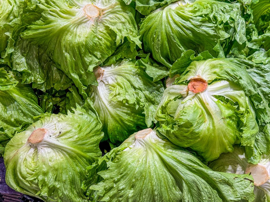The cyclospora outbreak lawsuits have begun