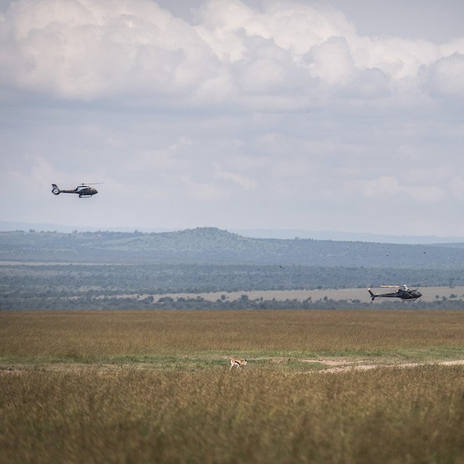 7 Dead in Helicopter Crash in Kenya, Including CEO & Telemundo Exec