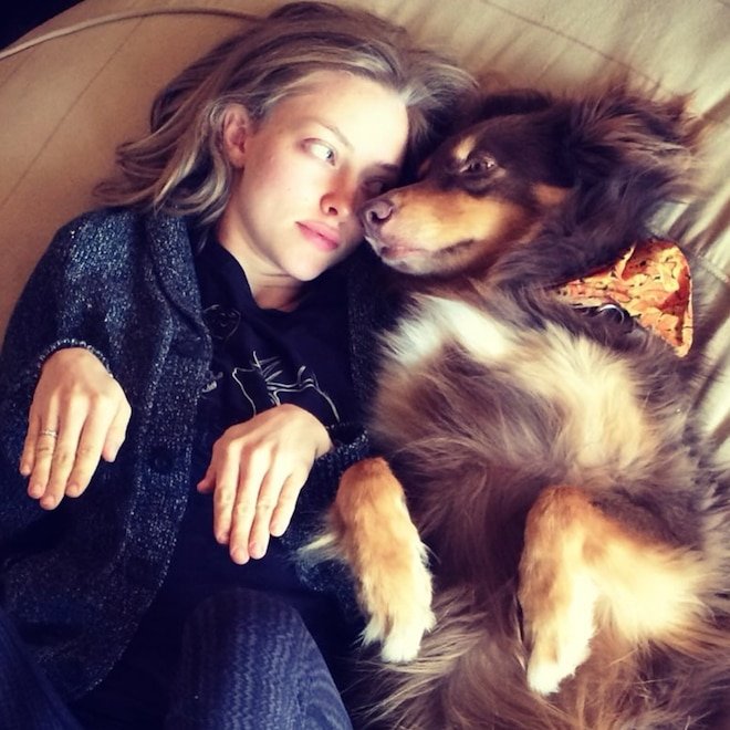 Amanda Seyfried Mourns Death of Beloved Dog Finn