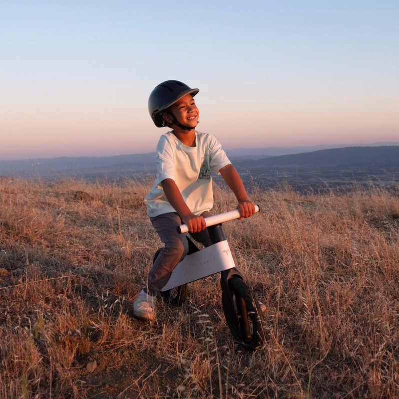 Tesla's newest set of wheels is a $225 bike for toddlers