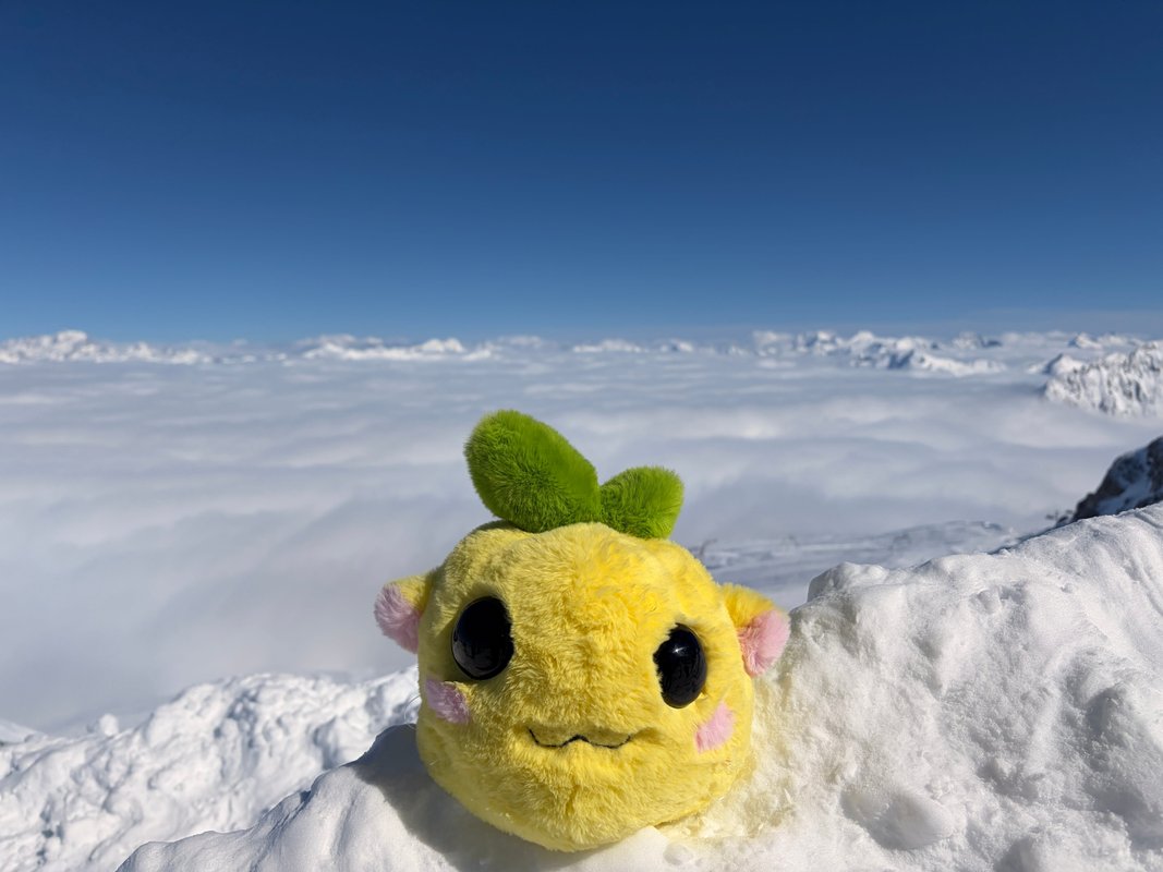 There's a new ugly: little toy winning the internet