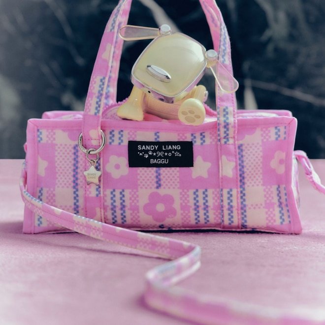 The Highly Anticipated Sandy Liang x Baggu Collab Is Finally Here!