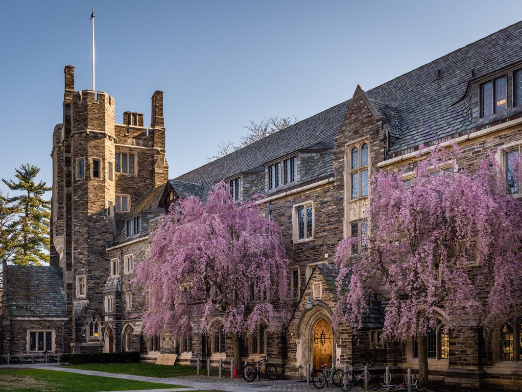 The best college in every US state