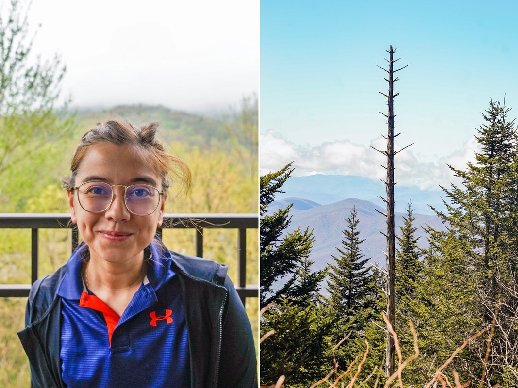 I went to the Great Smoky Mountains for the first time. 8 surprises made my trip harder — and better — than I expected.