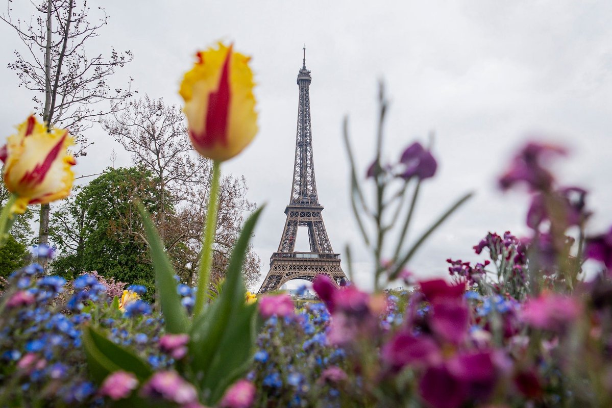 $119 Polymarket bet on Paris' weather turns into: $21K after unusual temperature spike, sparking official probe
