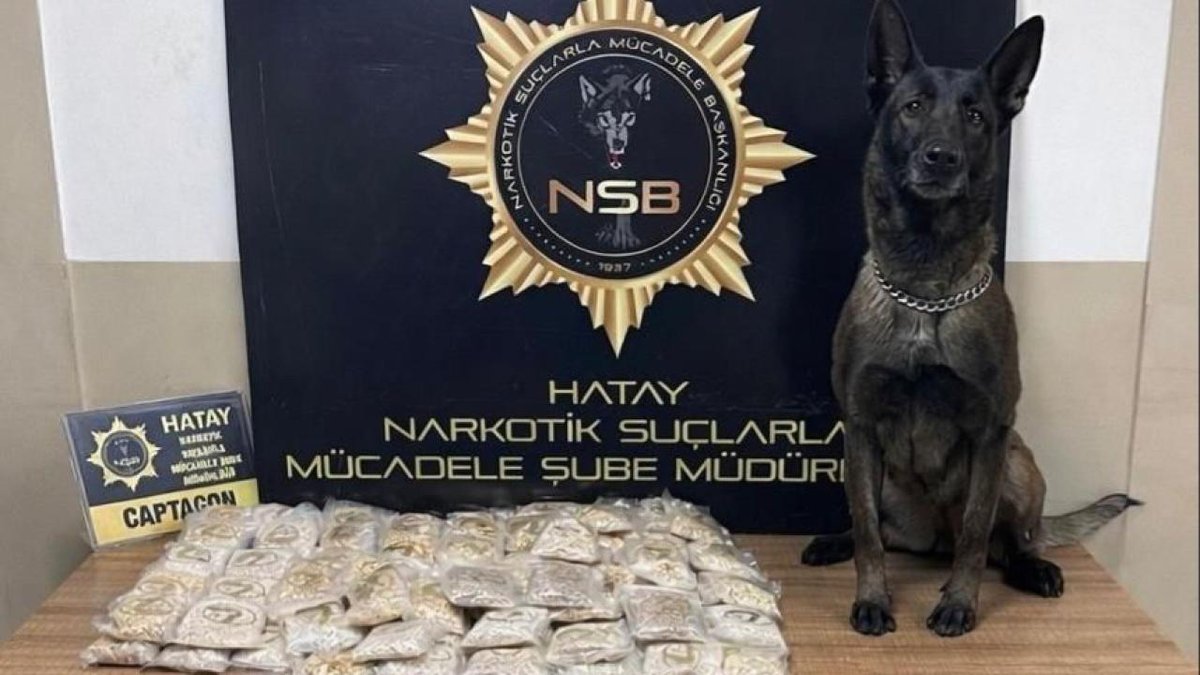 Zeytinyağı kutularında yüz bin: adet uyuşturucu hap ele geçirildi