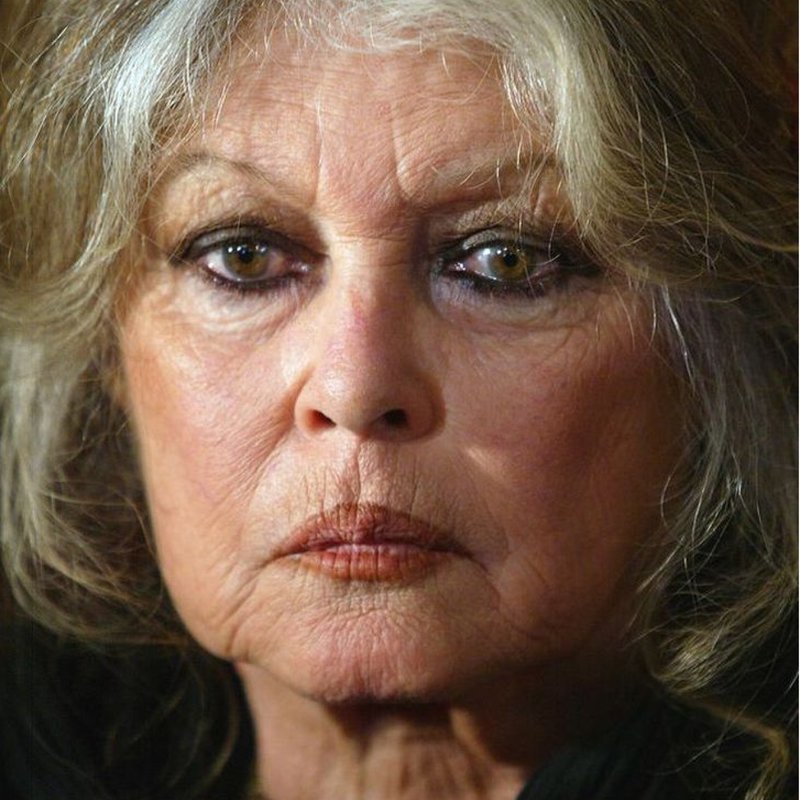 Brigitte Bardot, hayata veda etti
