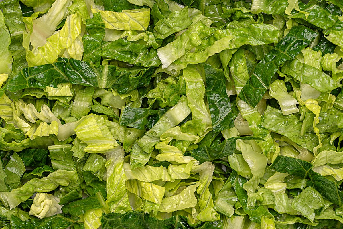 Shredded lettuce supplied to Taco Bell identified as: a source of cyclospora that causes watery diarrhea