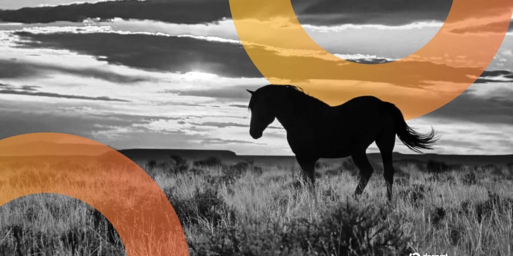 "Wyoming’ın 'Sınır' Stabil Koini Piyasaya Sürüldü – Getiri Sağlayacak mı?"