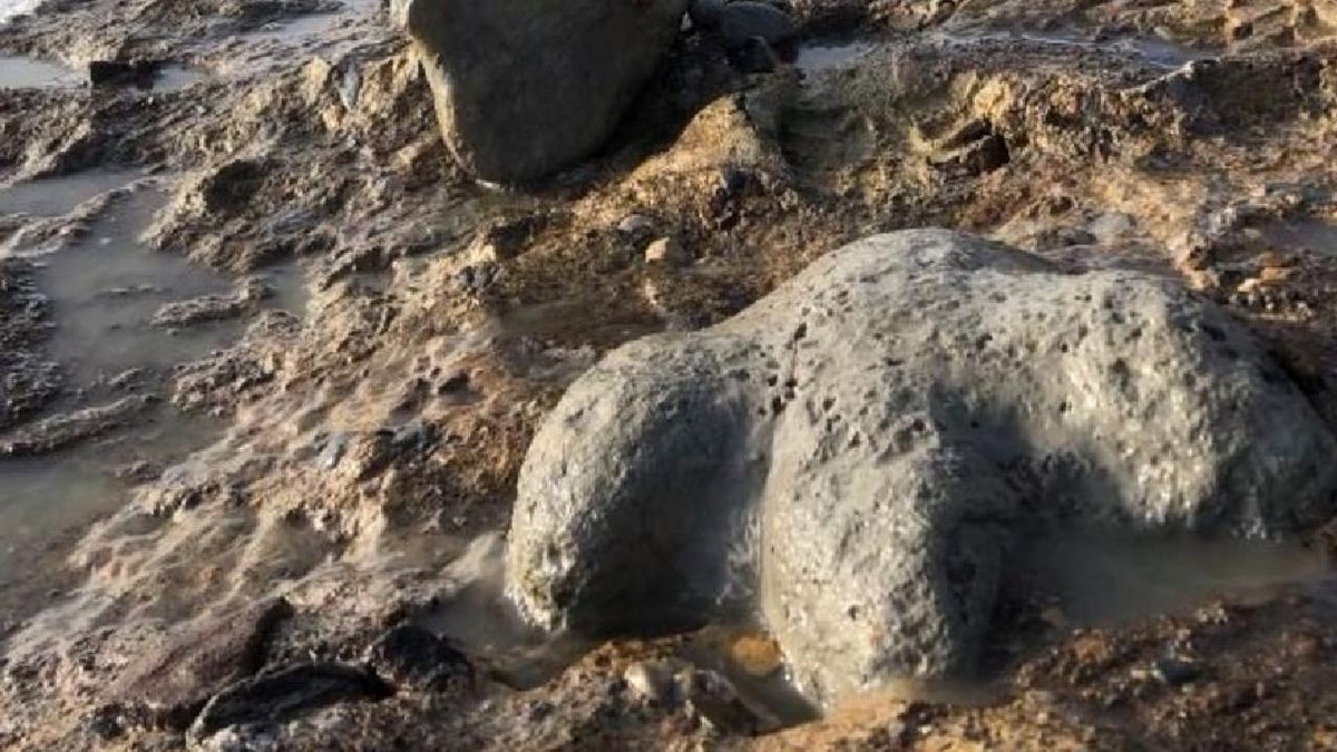 "2025'teki küresel arkeolojik keşifler, insanlık tarihine önemli katkılarda bulunacak"