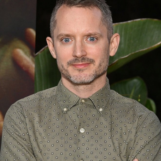 Elijah Wood Makes Rare Comments About: Dad Life With His 2 Kids