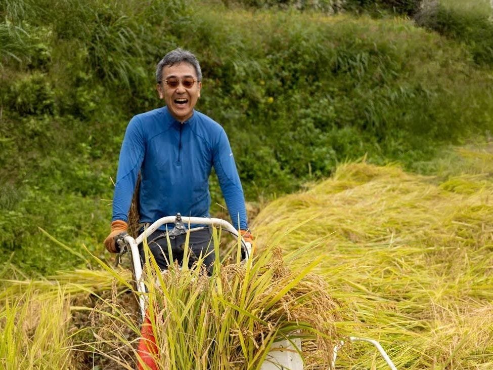 I spent years in finance. Then I realized rural Japan's rice terraces were an overlooked asset.