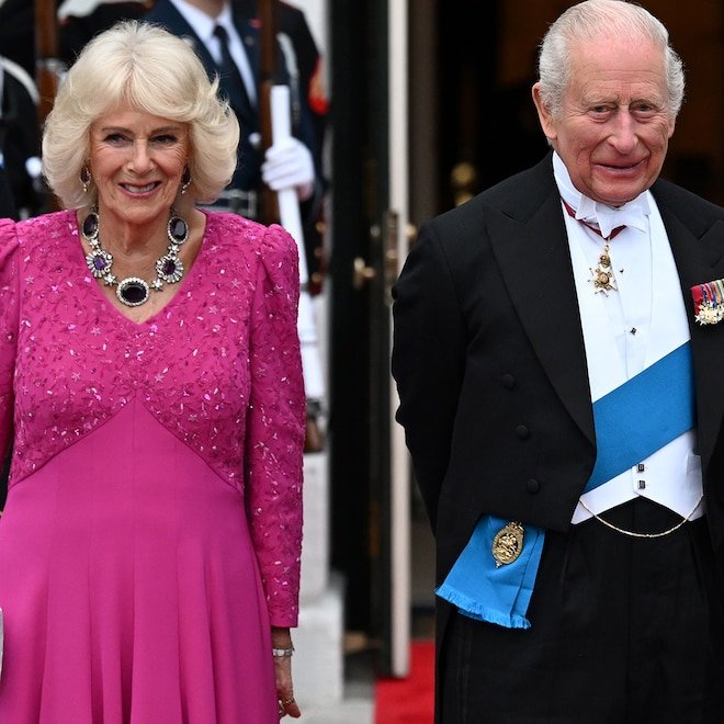 See King Charles & Queen: Camilla's Royal Looks for State Dinner