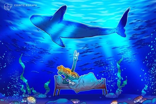 Son Yen müdahalesinin ardından Bitcoin yüzde 30 düştü, fakat durumun ilginç bir yanı var.