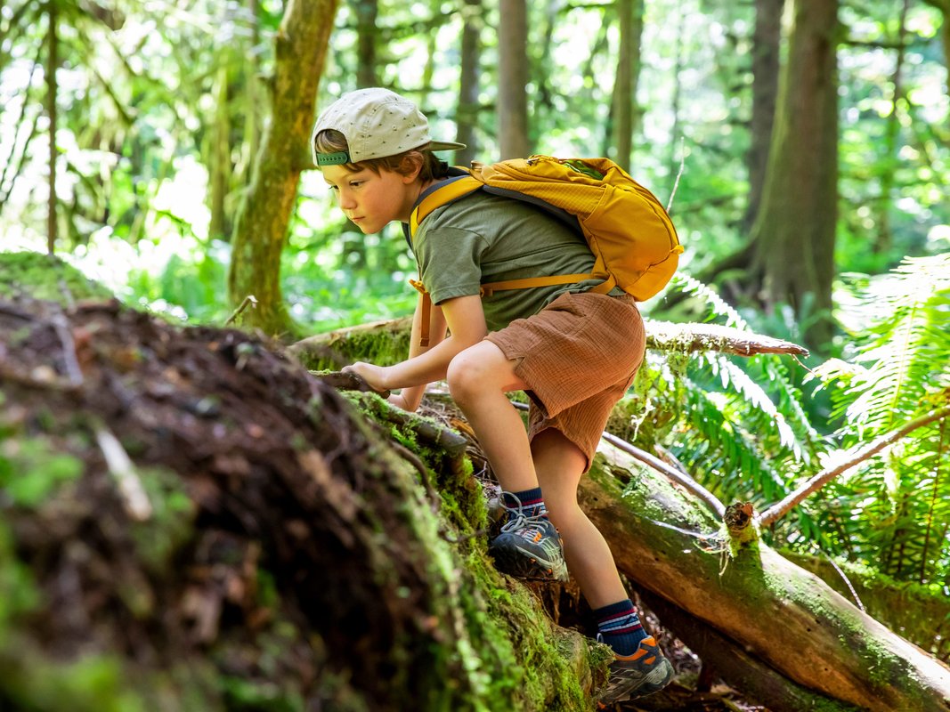 A psychologist explains why adaptable kids will: outpace straight-A students in the AI era