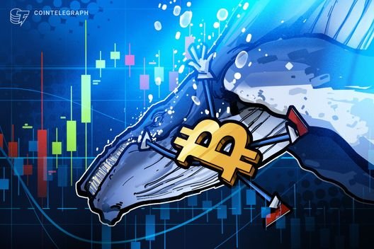 "Bitcoin 'OG balinaları' 286 milyon dolarlık satış: yaptı, fakat 100 bin dolara ulaşma ihtimali yüksek"