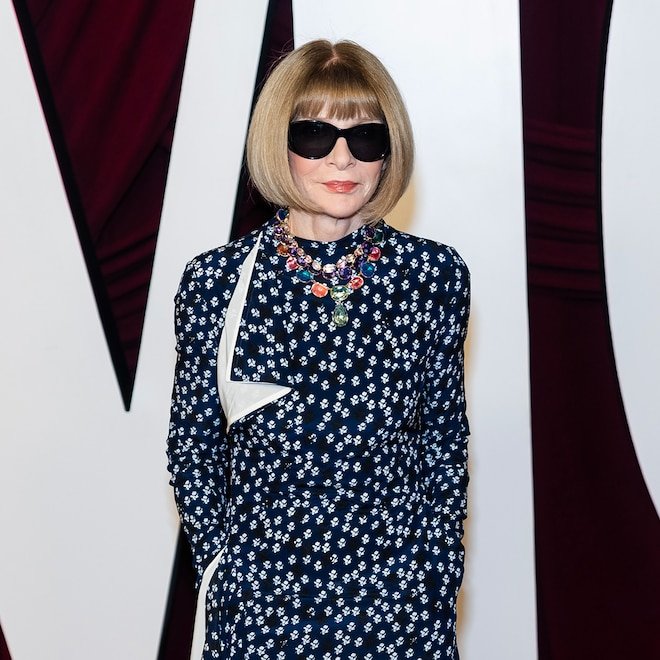 Anna Wintour Reacts to Rumors She Approves All Met Gala Looks