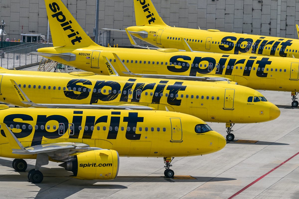 A Spirit Airlines fan has launched Spirit 2.0, a crowdsourcing effort to buy the airline: 'The people can own it'