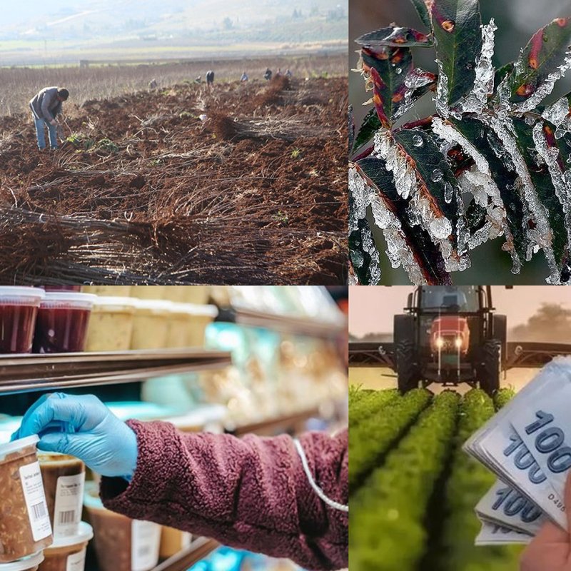 "2025 Tarım Sektöründe Ne Değişiklikler Yaşandı?"