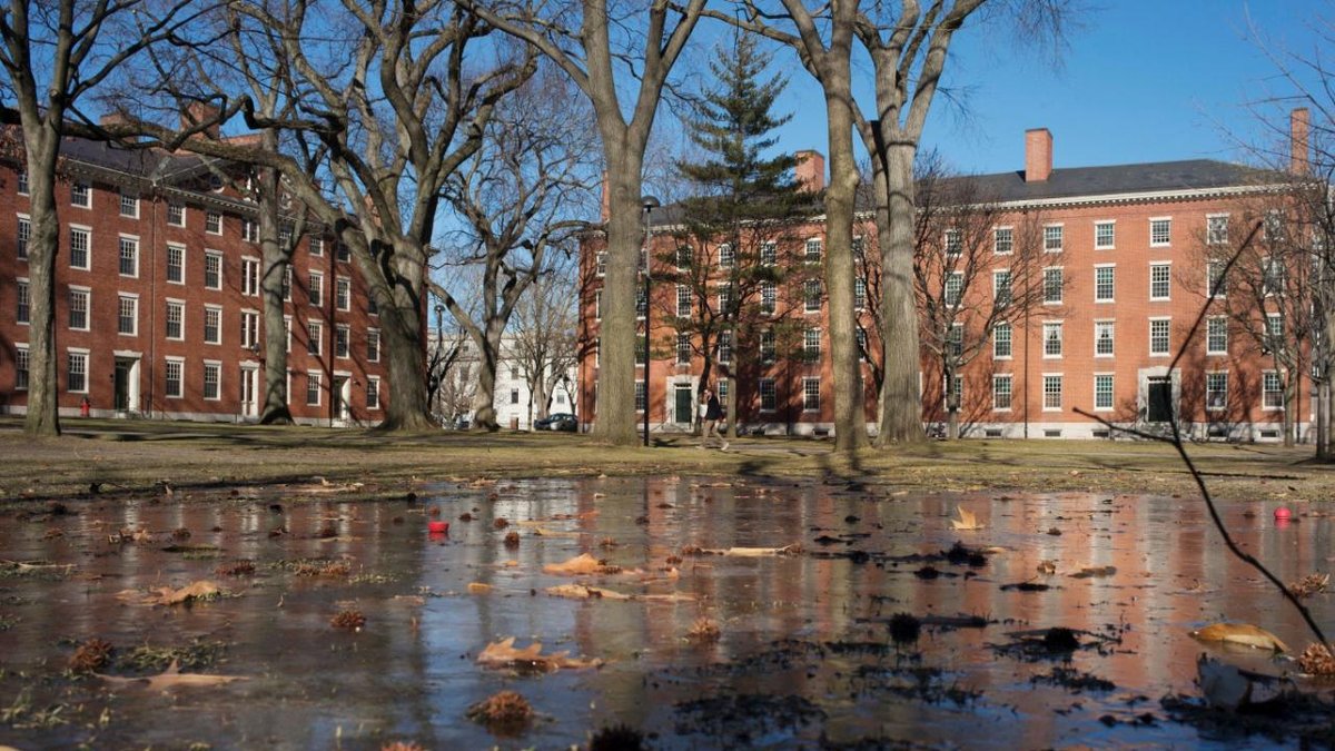 ABD'de federal hükümet, öğrenci kabul süreçlerindeki: verileri paylaşmadığı gerekçesiyle Harvard'a dava açtı