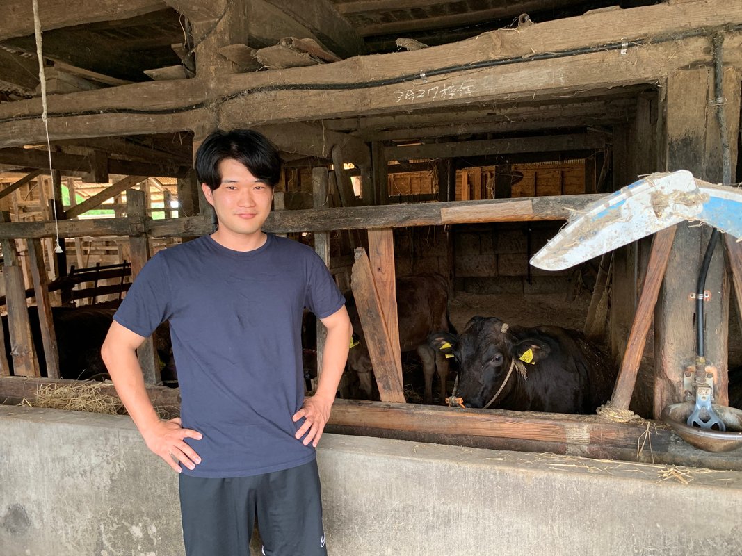 I left my desk job to take over my grandparents' Wagyu farm in rural Japan. It changed how I define success.