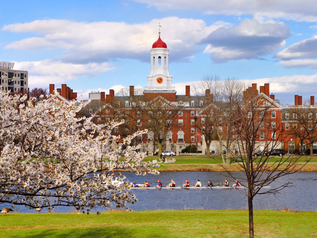 Inside the most educated state in the US, where nearly: half of all adults have a bachelor's degree or higher