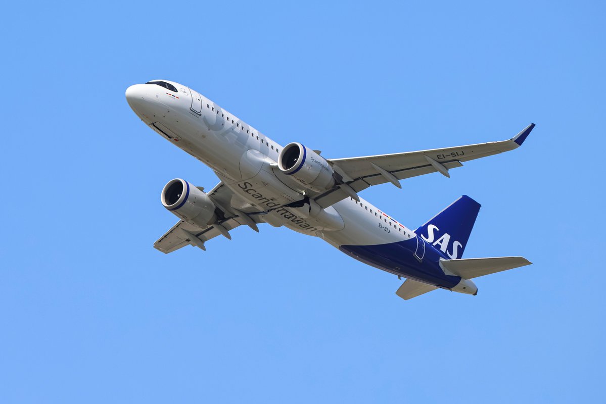 Hide and squeak: Passengers flying to Spain endured a flight to nowhere after a rodent was spotted on board