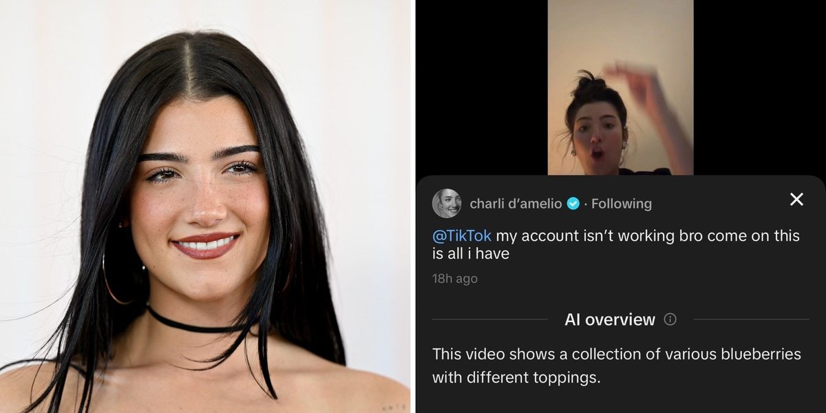 TikTok pulls back on an AI feature that: described Charli D'Amelio as a collection of blueberries