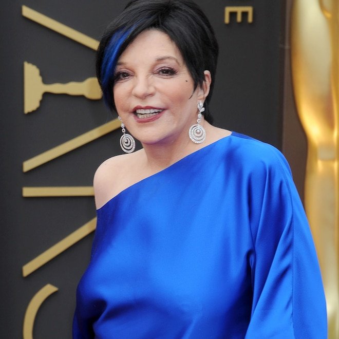 Liza Minnelli "Grateful to Be Alive" Amid Substance Use Disorder